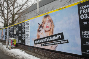 foto opel grumpy cat berlin